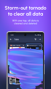 Screenshot image